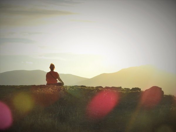 Quels types de divertissement en ligne sont les plus populaires ?