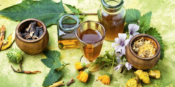 Suivre une formation en naturopathie : les points clés à savoir